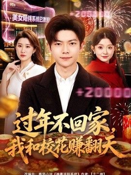 過年不回家，我和校花賺翻天海報(bào)